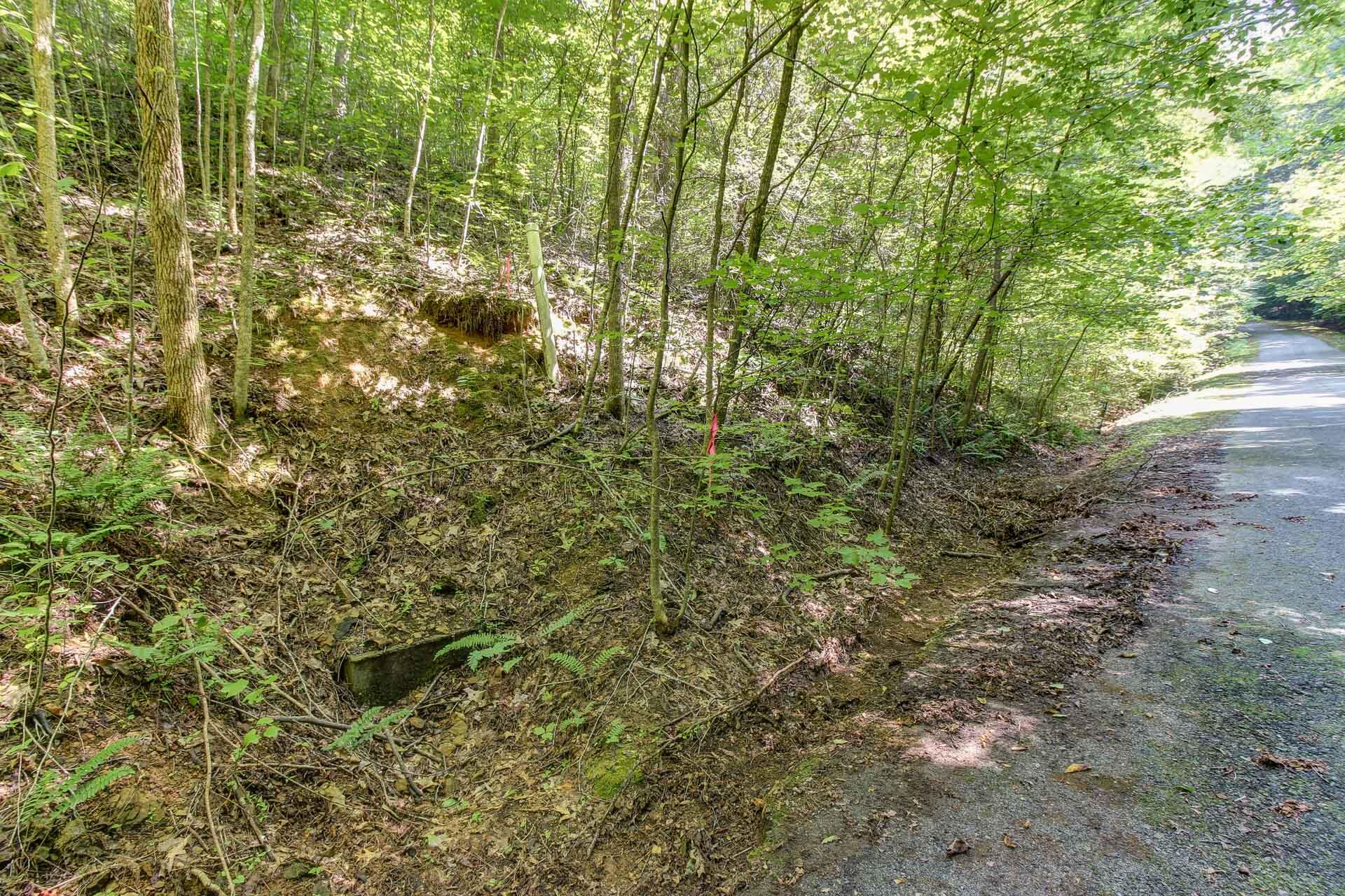 Lot 56 Riversong Way Sevierville, TN 37876 - Photo 10 of 12 09