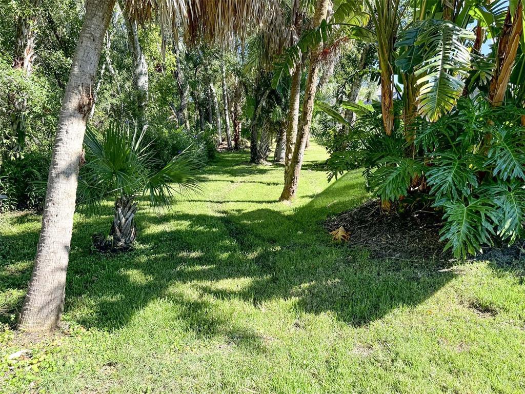 8204 Waterview Boulevard Lakewood Ranch, FL 34202 - Photo 46 of 77 a view of yard with green space