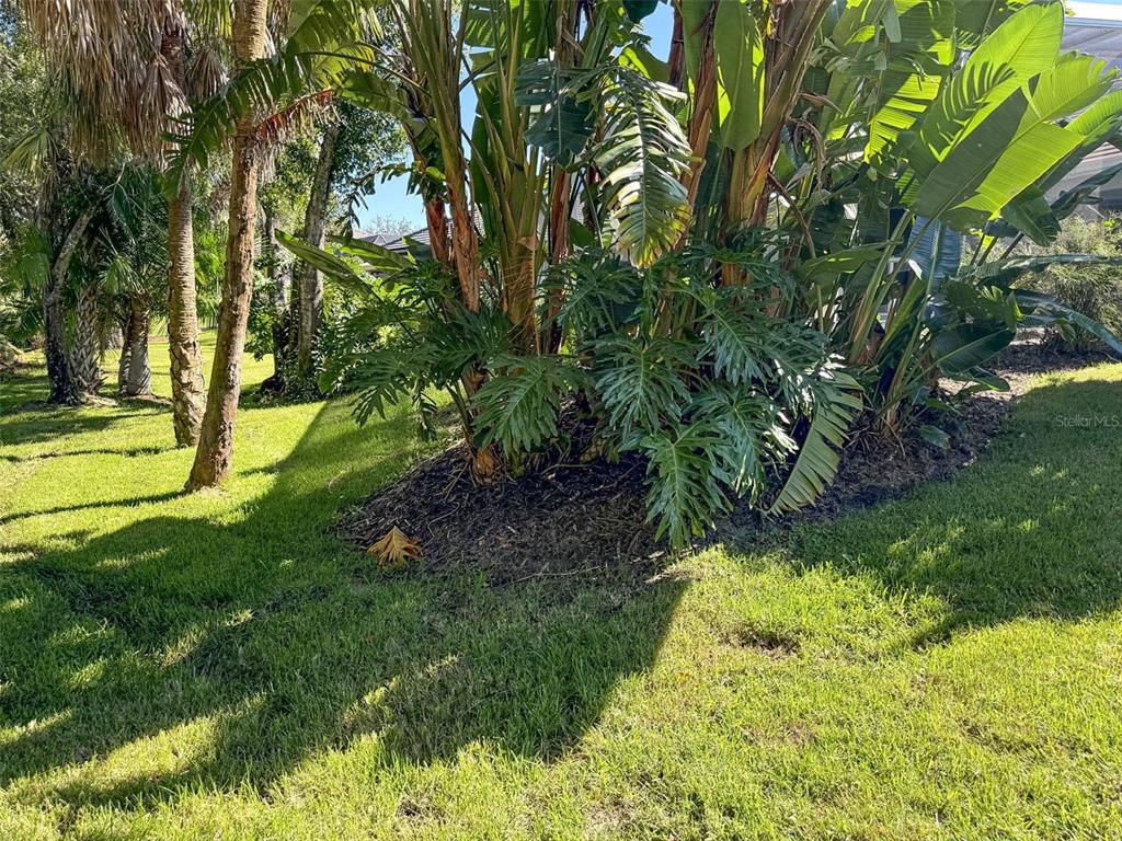 8204 Waterview Boulevard Lakewood Ranch, FL 34202 - Photo 47 of 77 a view of yard with green space