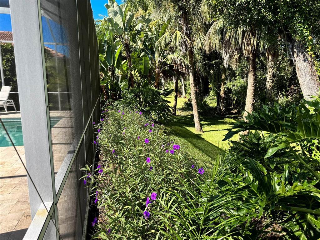 8204 Waterview Boulevard Lakewood Ranch, FL 34202 - Photo 48 of 77 a backyard of a house with lots of green space