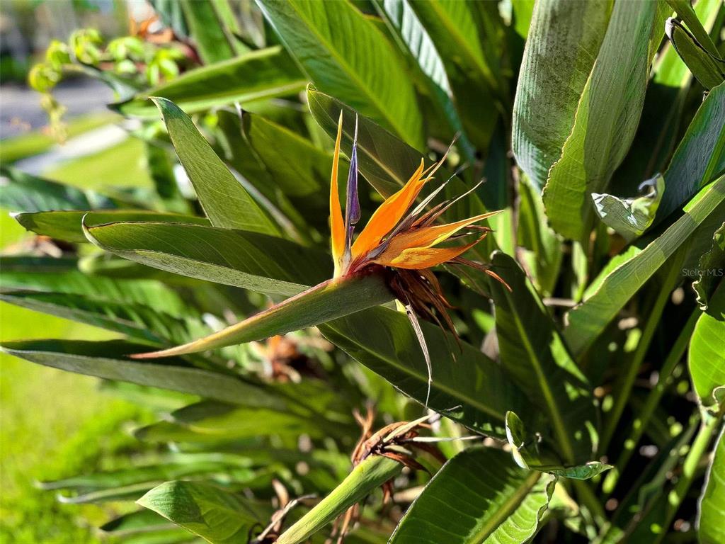 8204 Waterview Boulevard Lakewood Ranch, FL 34202 - Photo 8 of 77