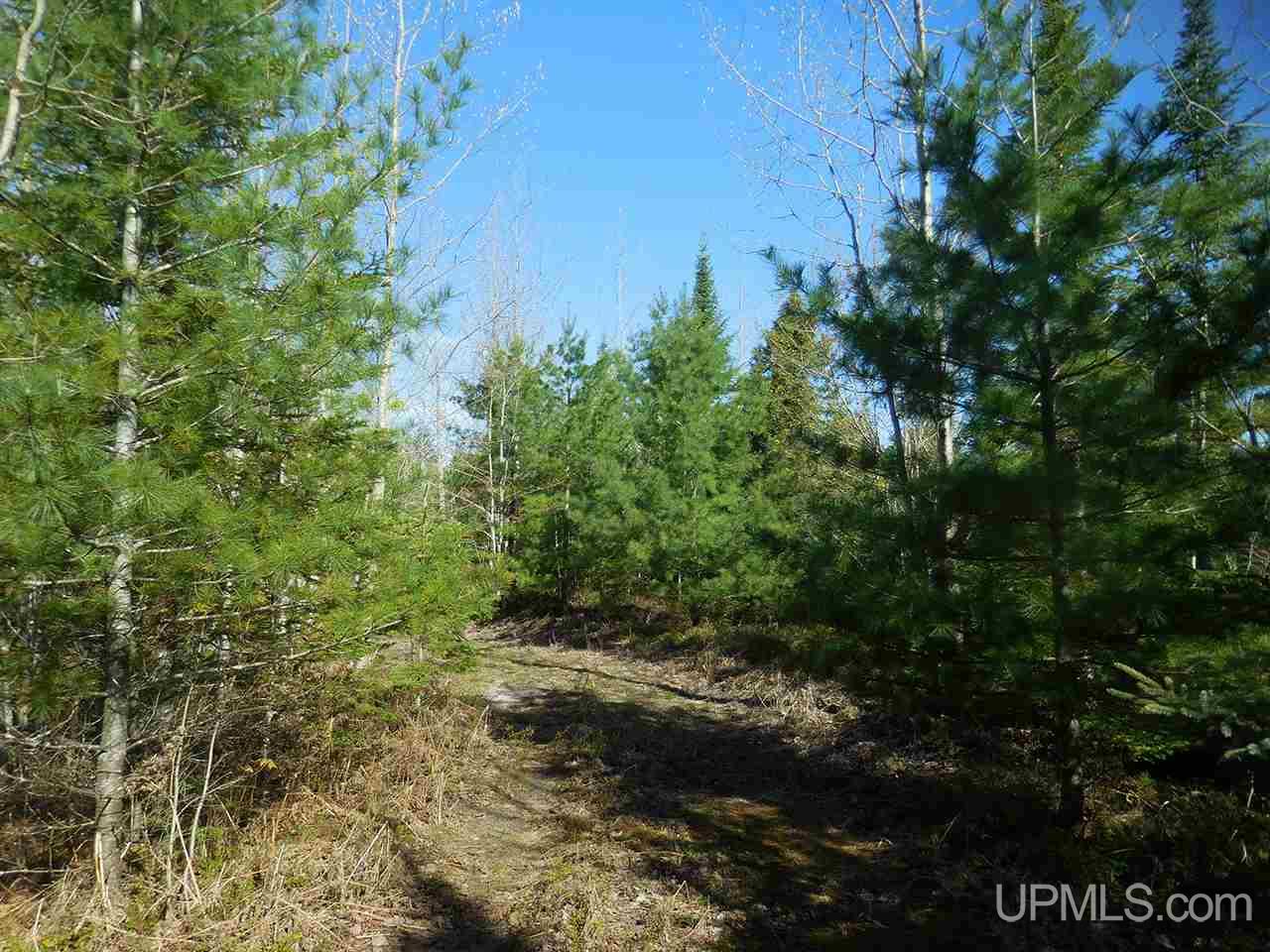 1480 Acres On Co Road Manistique, MI 49854 - Photo 17 of 49