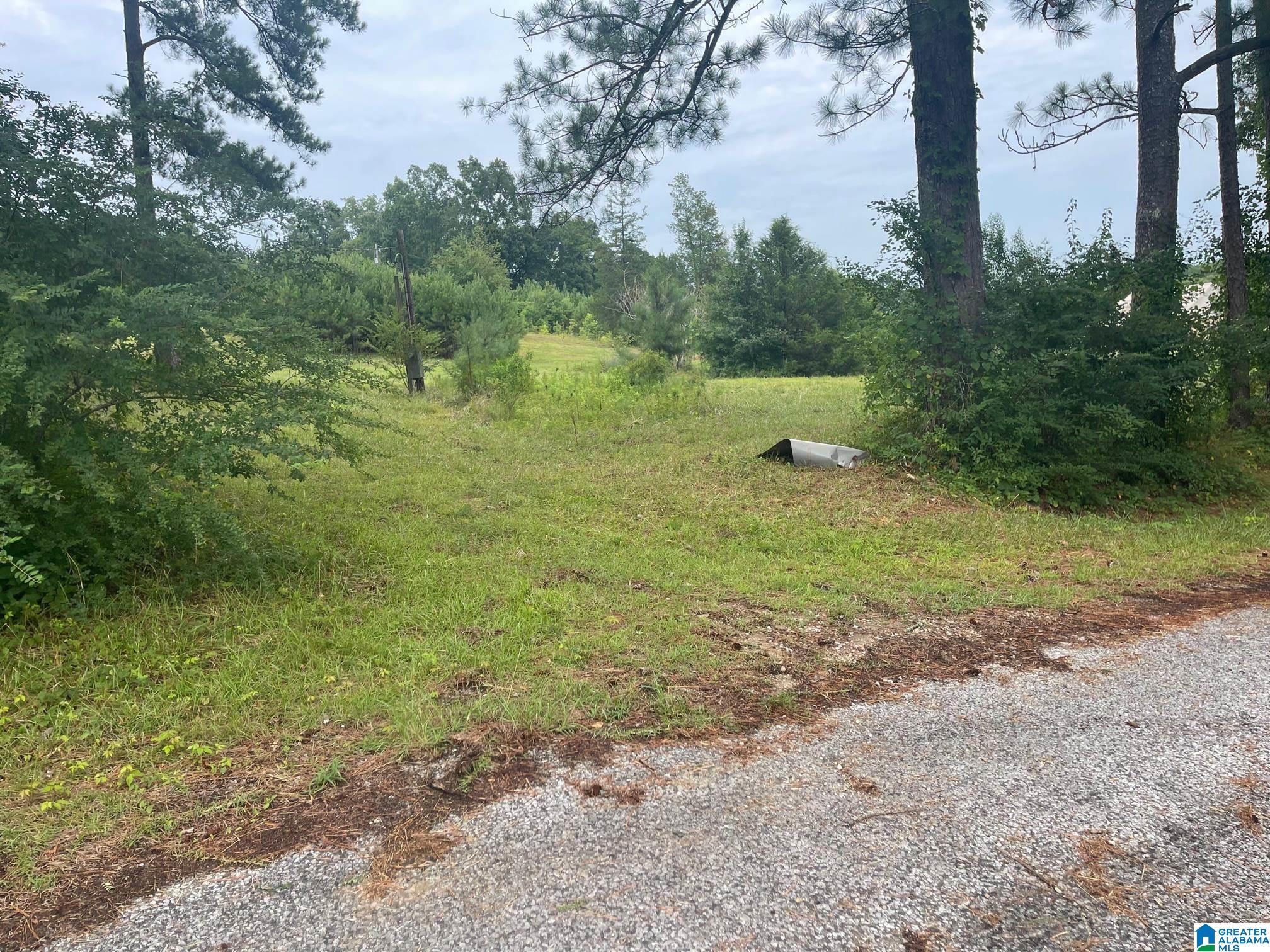 190 Silver Loop Road Columbiana, AL 35051 - Photo 17 of 21