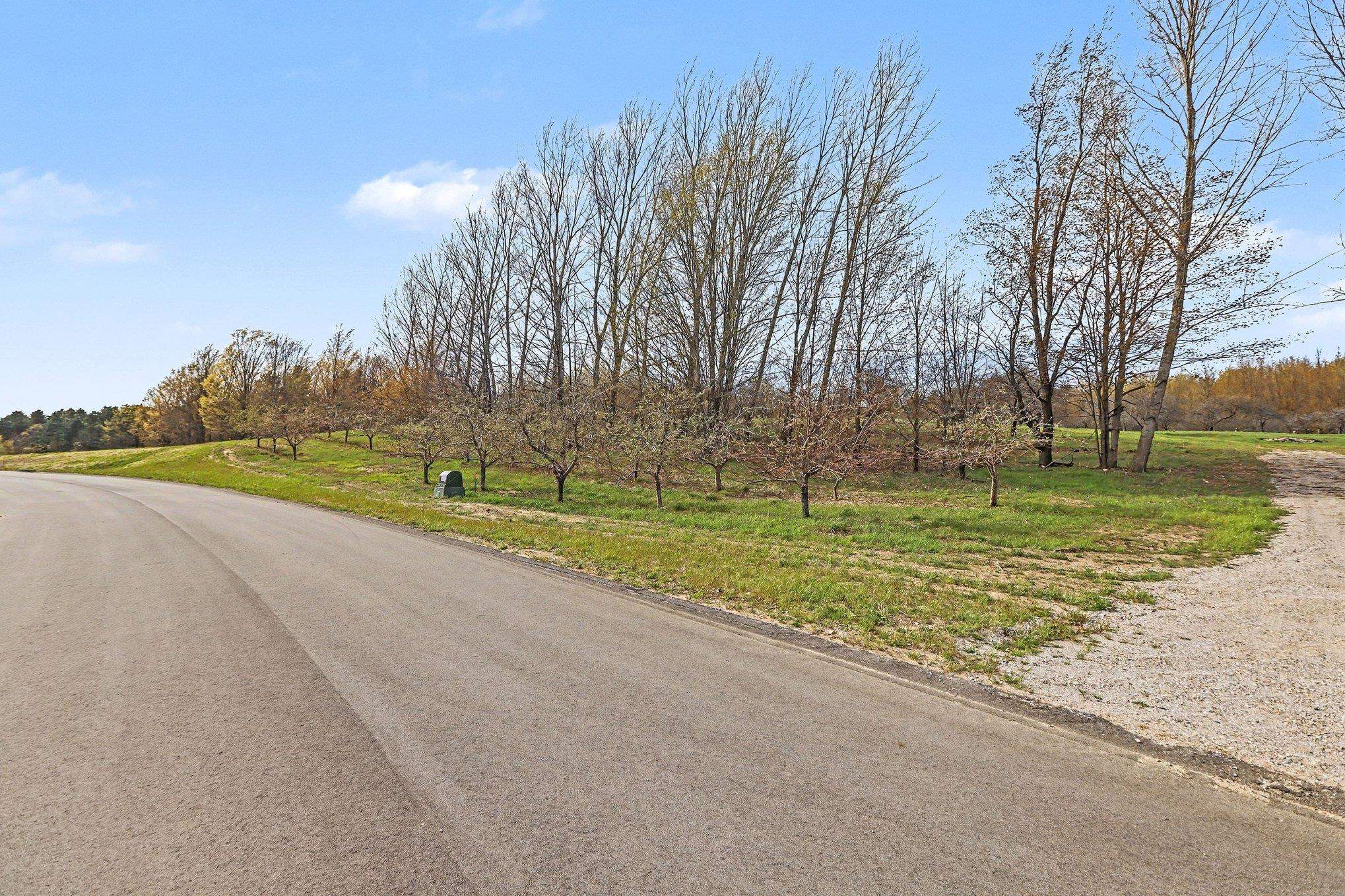 Parcel 14 Karnes Road, Unit LOT: 14 Empire, MI 49636 - Photo 3 of 8
