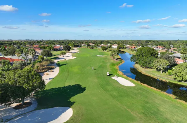 a view of a city with lots of trees