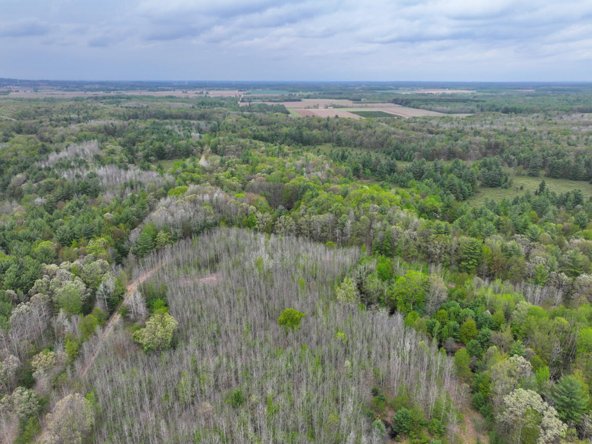 6.62 West Jefferson Road Pentwater, MI 49449 - Photo 10 of 21 DJI_20260512151630_0566_D