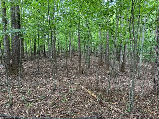 $19,000 | 0 Ebenezer Church Road, Elkin, NC 28621