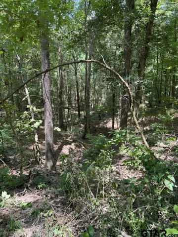 $149,600 | 3704 Joaquin Tx 75954, Joaquin, TX 75954