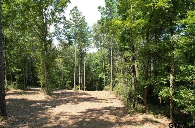 $149,600 | 3704 Joaquin Tx 75954, Joaquin, TX 75954