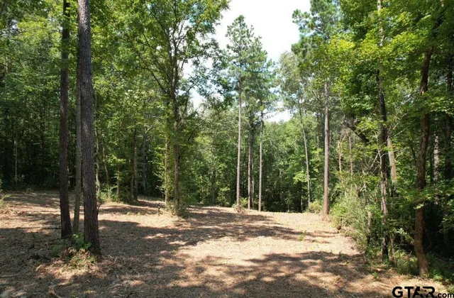 $149,600 | 3704 Joaquin Tx 75954, Joaquin, TX 75954