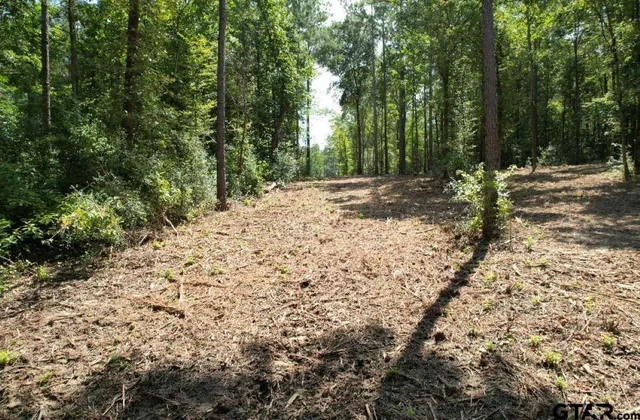 $149,600 | 3704 Joaquin Tx 75954, Joaquin, TX 75954