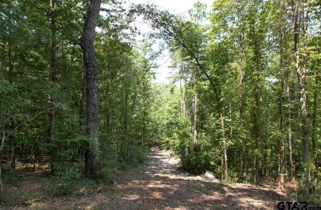 $149,600 | 3704 Joaquin Tx 75954, Joaquin, TX 75954