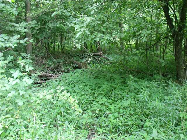 0 Hardin Road Harrod, OH 45850 - Photo 14 of 16 Gallery Image 14