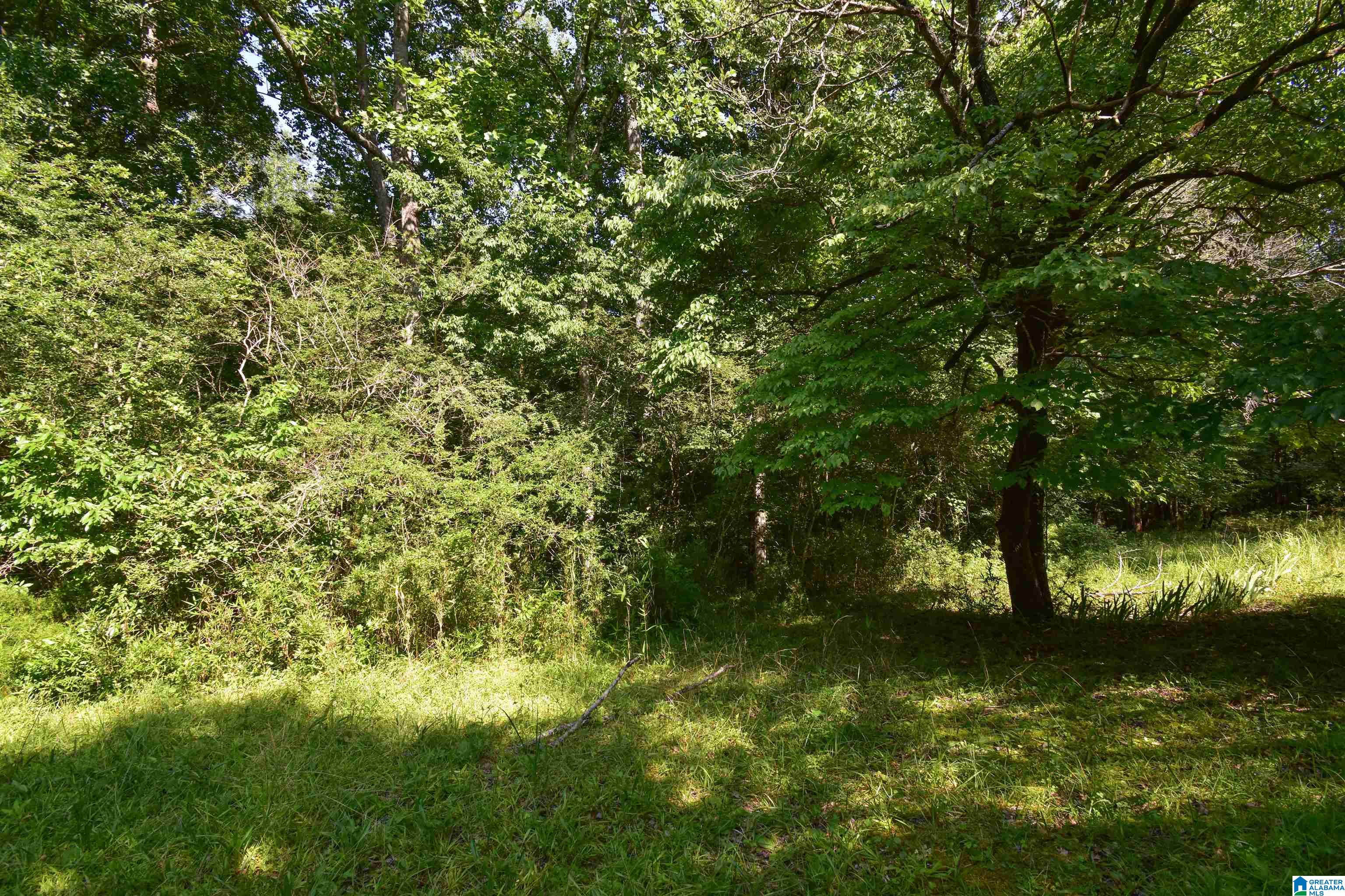 373 Myers Road Berry, AL 35546 - Photo 67 of 74