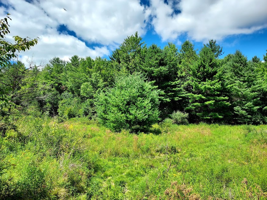 724 Echo Road Vestal, NY 13850 - Photo 15 of 16 Gallery Image 15