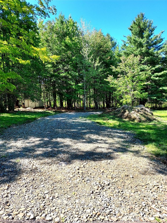 724 Echo Road Vestal, NY 13850 - Photo 8 of 16 Gallery Image 8