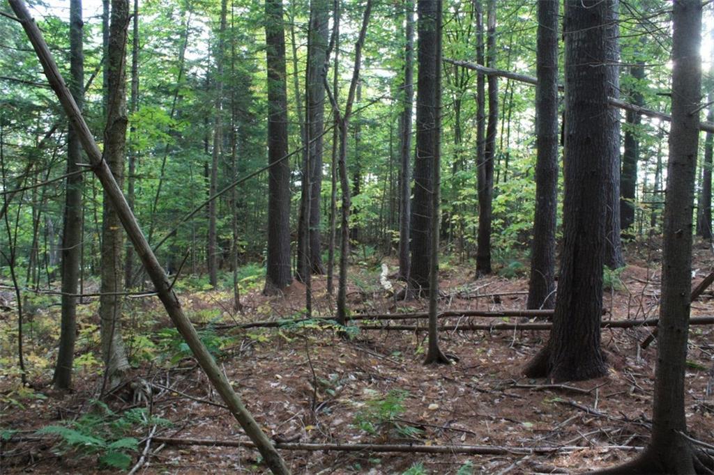18 Thod's Road Boothbay, ME 04537 - Photo 12 of 14 Photo