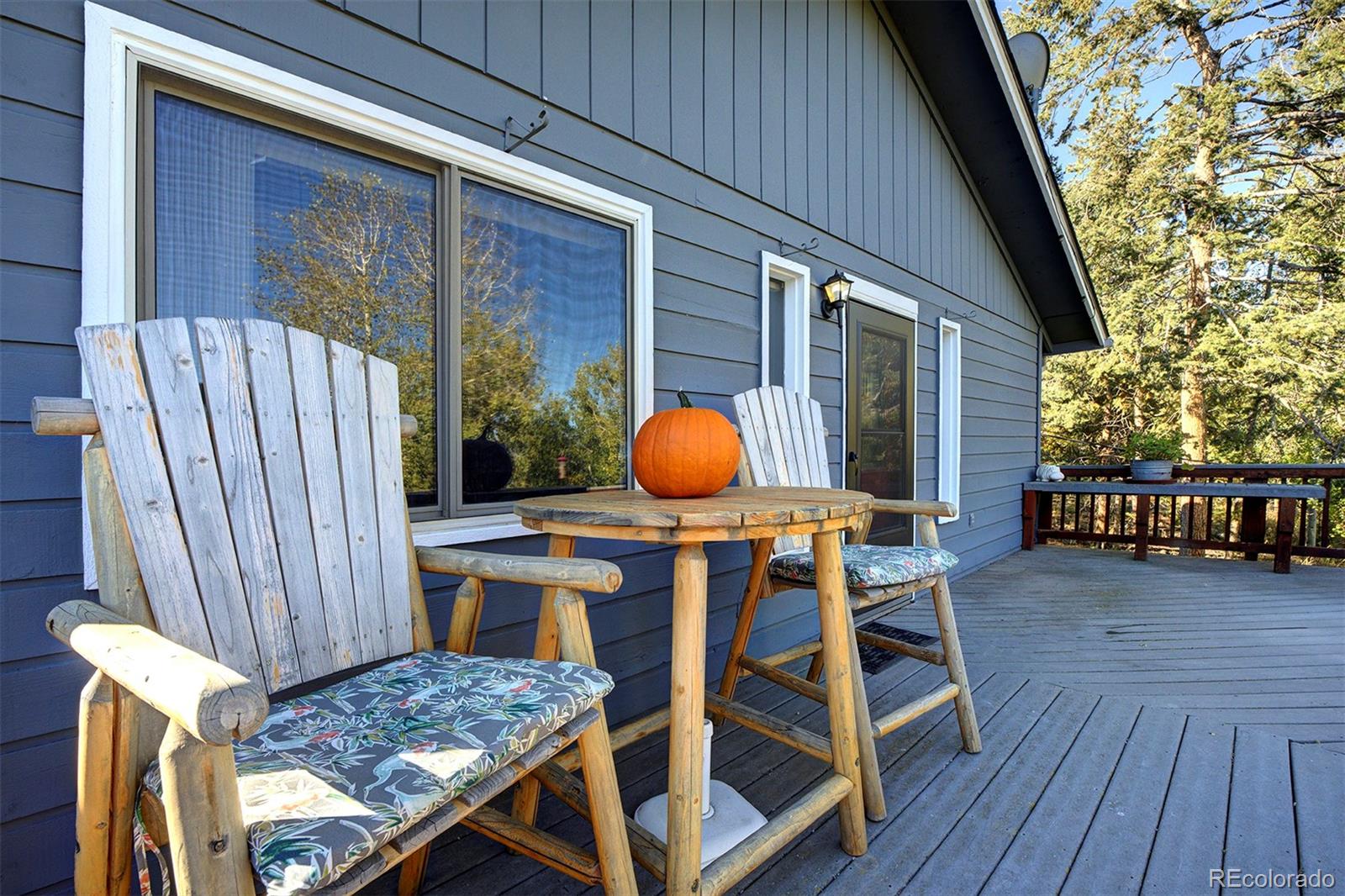 1477 Burland Drive Bailey, CO 80421 - Photo 30 of 37