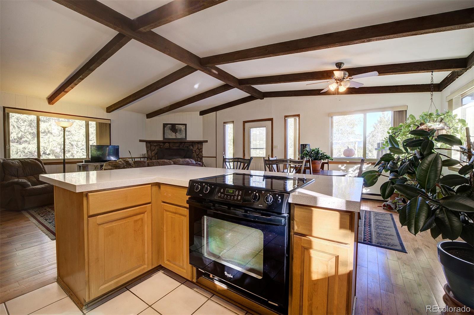 1477 Burland Drive Bailey, CO 80421 - Photo 6 of 37