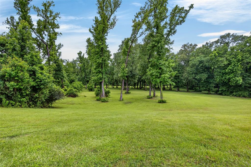 11868 Timber Ridge Drive Keithville, LA 71047 - Photo 32 of 37 Expansive green lawn surrounded by mature trees and lush foliage
