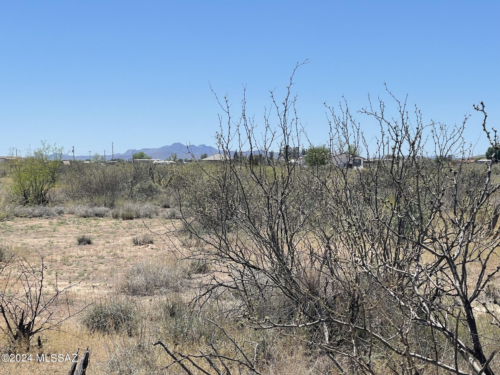 25-acres West Packing Plant Road Willcox, AZ 85643 - Photo 8 of 9
