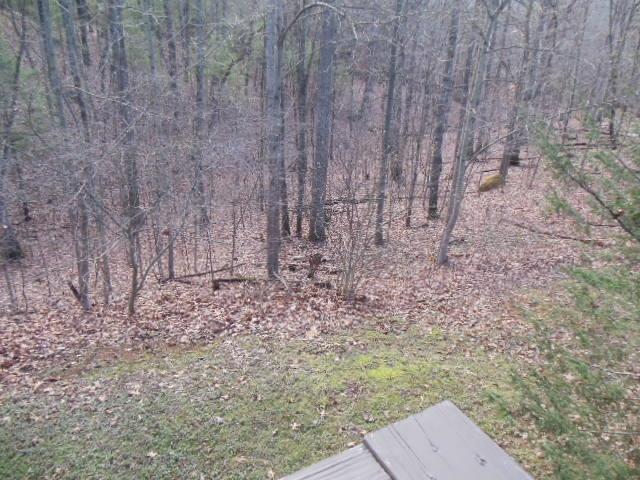 3640 Bushdale Road Roanoke, VA 24014 - Photo 34 of 36 DSCN3424