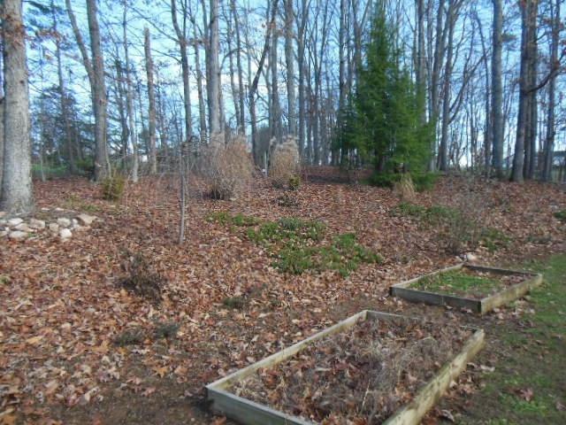3640 Bushdale Road Roanoke, VA 24014 - Photo 36 of 36 DSCN3426