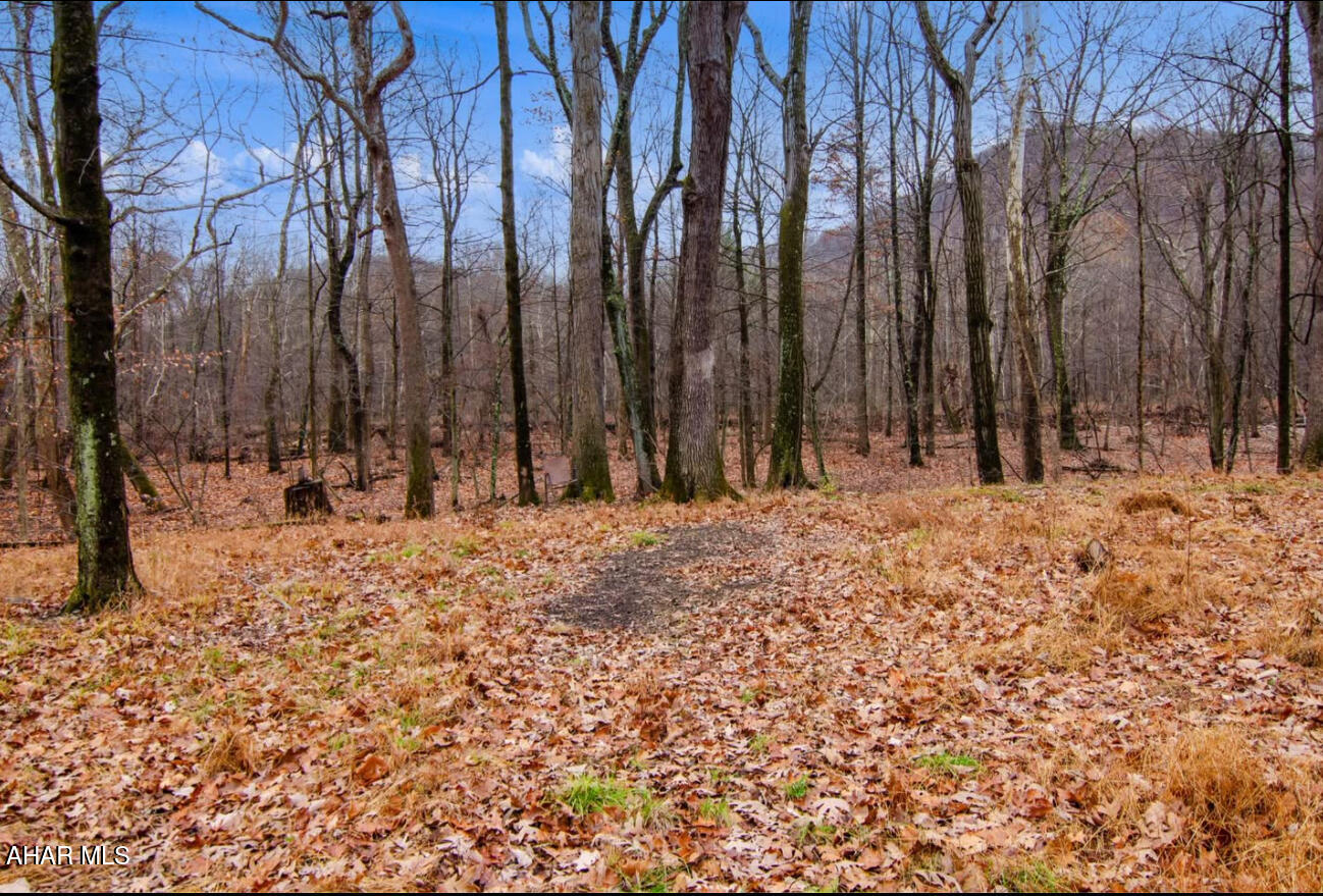 0 Gooseberry Road Hyndman, PA 15545 - Photo 8 of 26