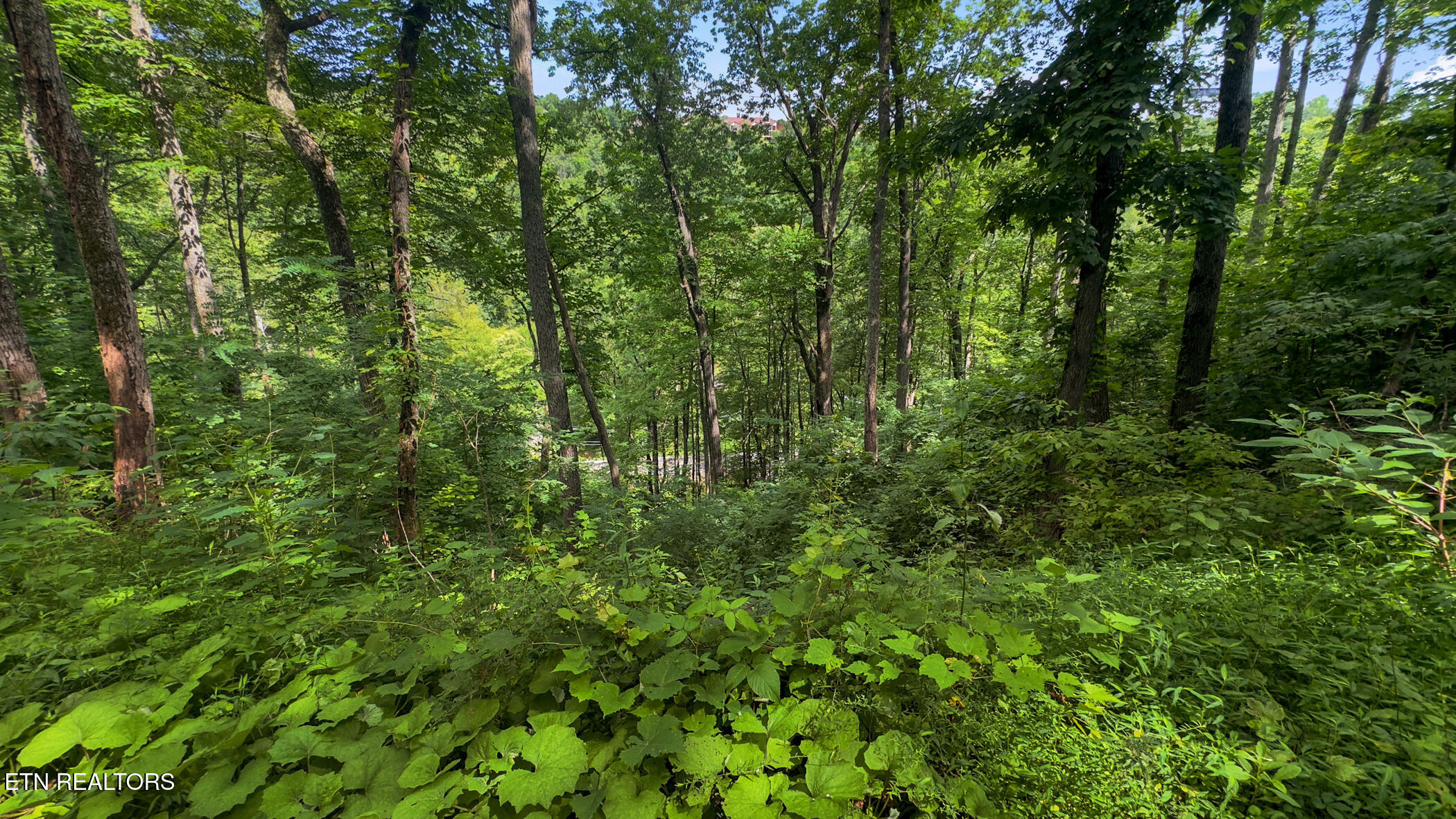 Lot 6 Ski Mtn Road Gatlinburg, TN 37738 - Photo 12 of 14 img_3587