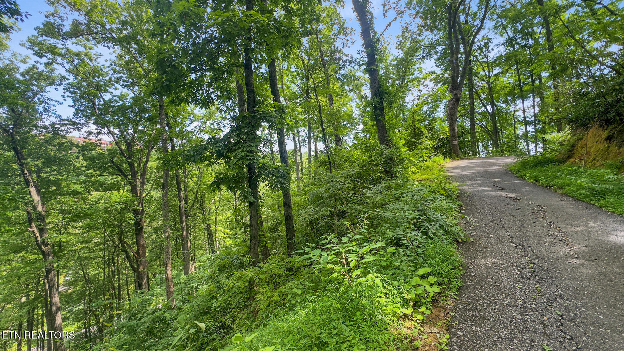 Lot 6 Ski Mtn Road Gatlinburg, TN 37738 - Photo 14 of 14 img_3588