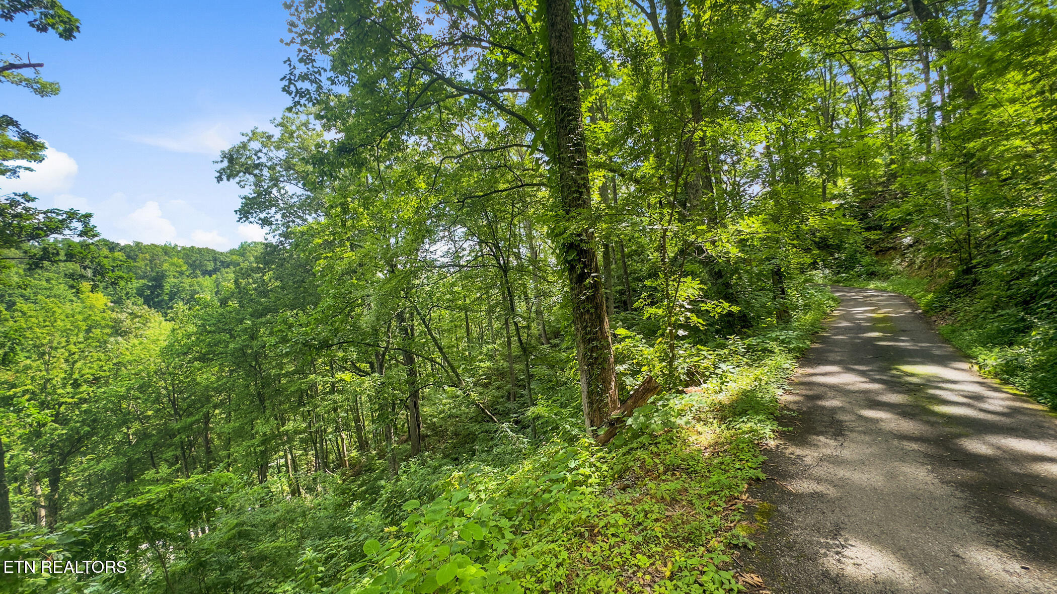 Lot 6 Ski Mtn Road Gatlinburg, TN 37738 - Photo 5 of 14 img_3584