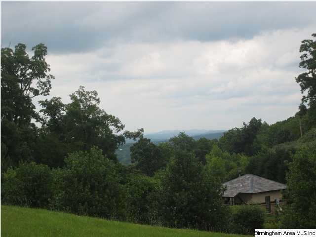 Mountain Ridge Parkway Trussville, AL 35173 - Photo 6 of 8