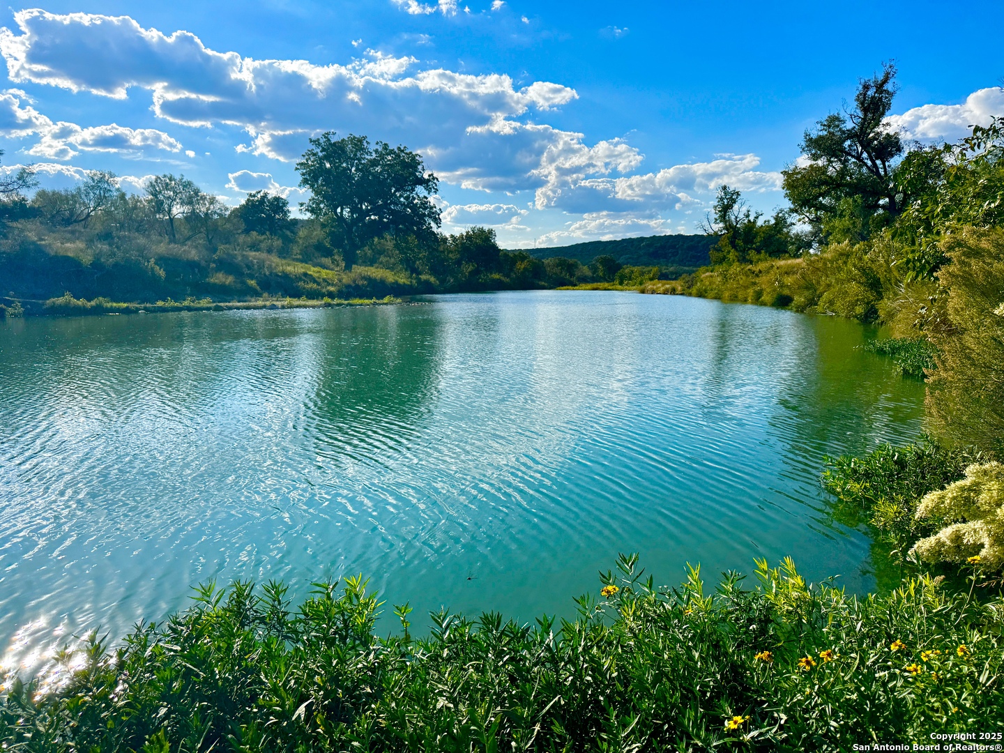 a view of lake with green space