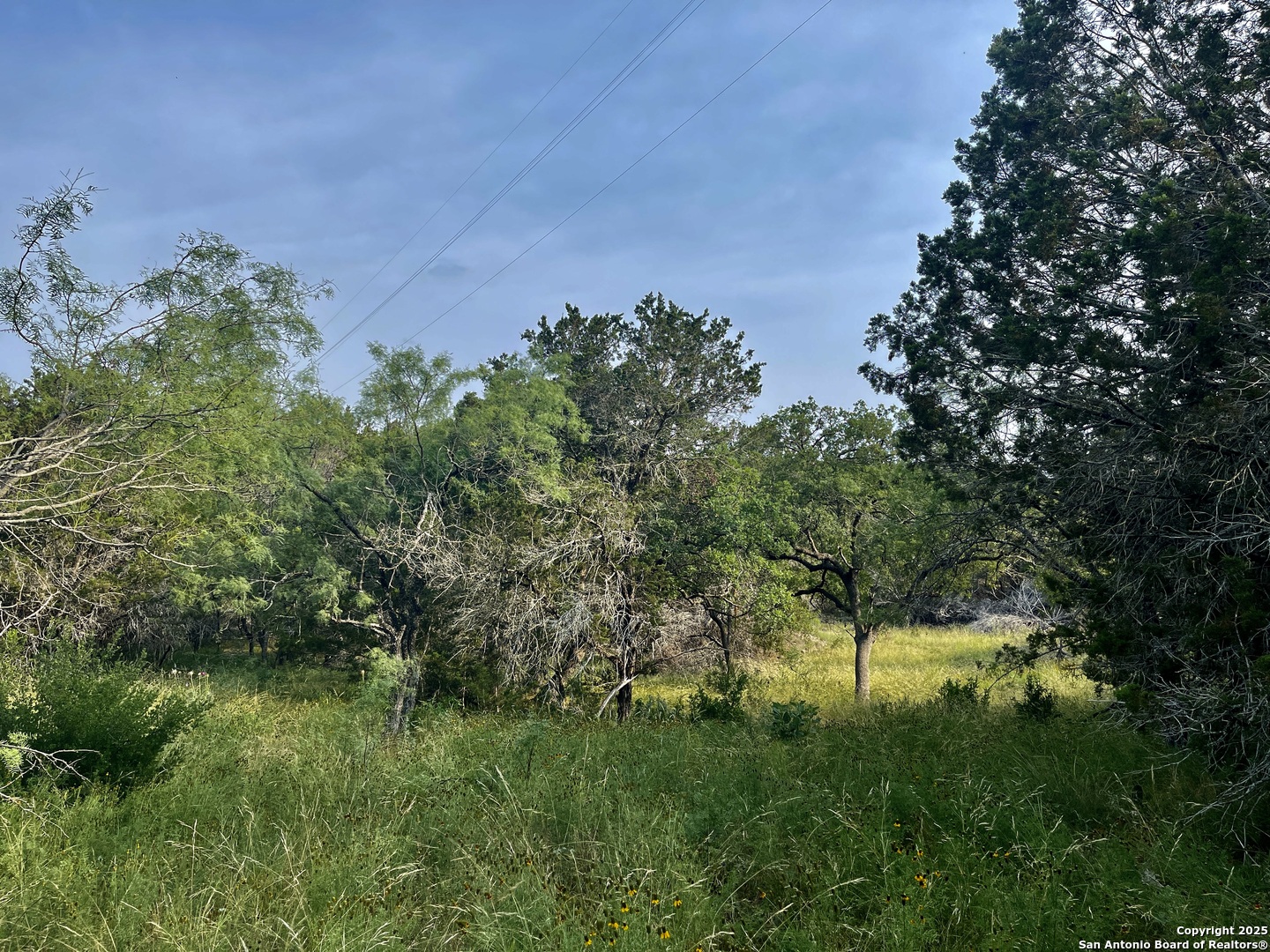 410 Craig Lane Junction, TX 76849 - Photo 18 of 53 a view of a garden