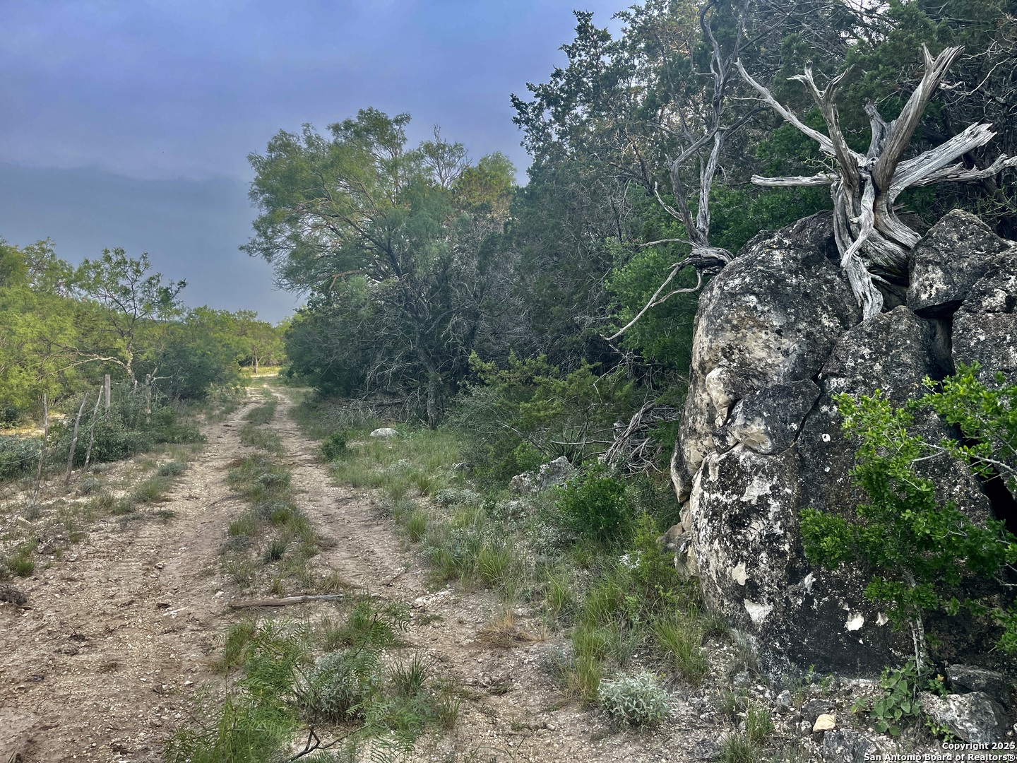 410 Craig Lane Junction, TX 76849 - Photo 24 of 53 a view of a forest with lots of trees
