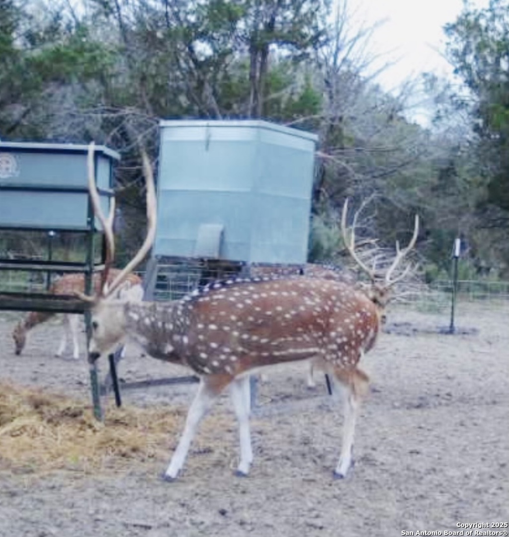 410 Craig Lane Junction, TX 76849 - Photo 25 of 53 a view of backyard with a patio and plants