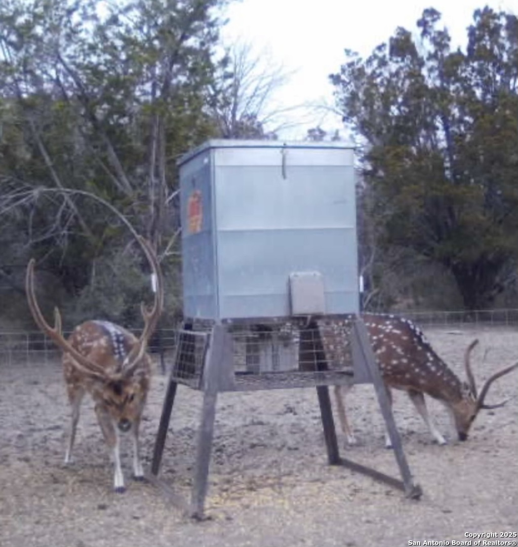 410 Craig Lane Junction, TX 76849 - Photo 29 of 53 a view of a yard with chairs