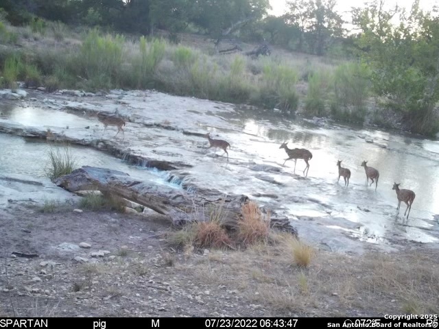 410 Craig Lane Junction, TX 76849 - Photo 30 of 53 a view of a yard