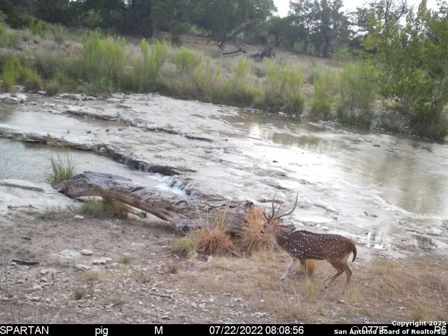 410 Craig Lane Junction, TX 76849 - Photo 31 of 53 a view of a lake view