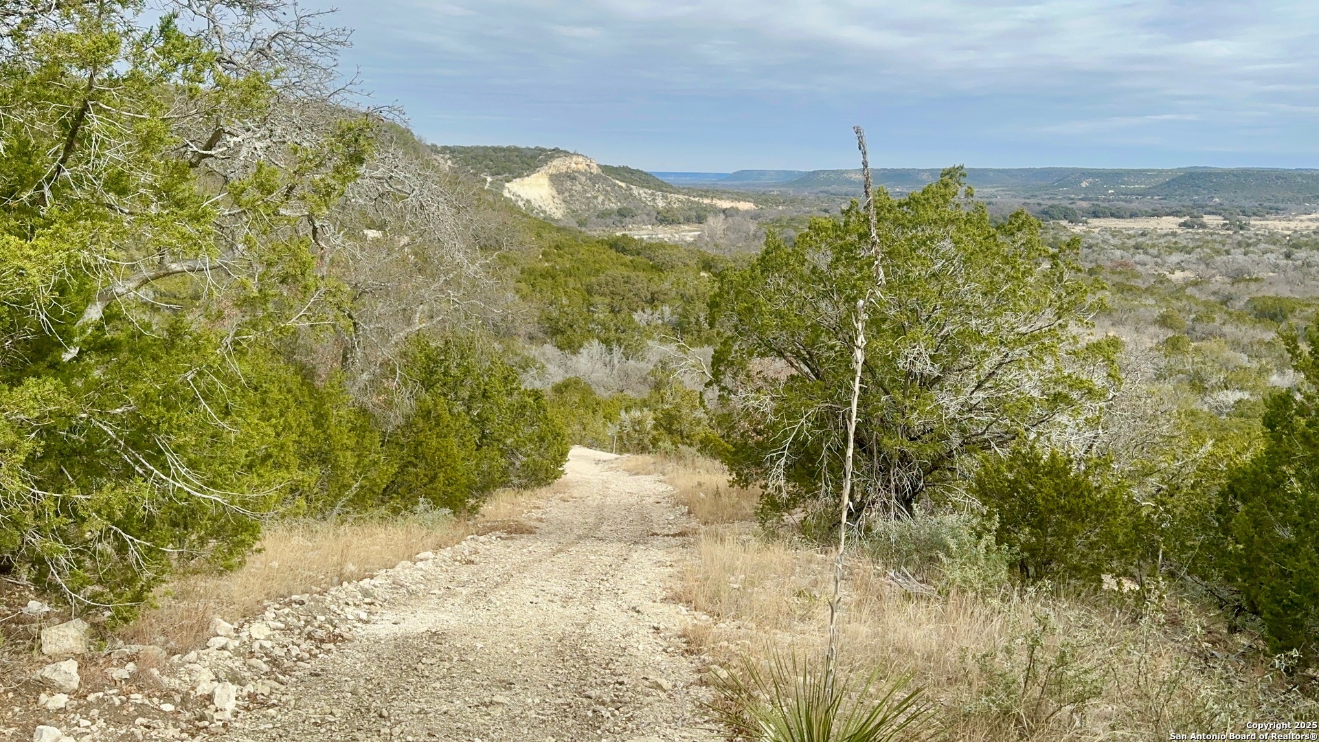410 Craig Lane Junction, TX 76849 - Photo 34 of 53 a view of a yard with an outdoor space