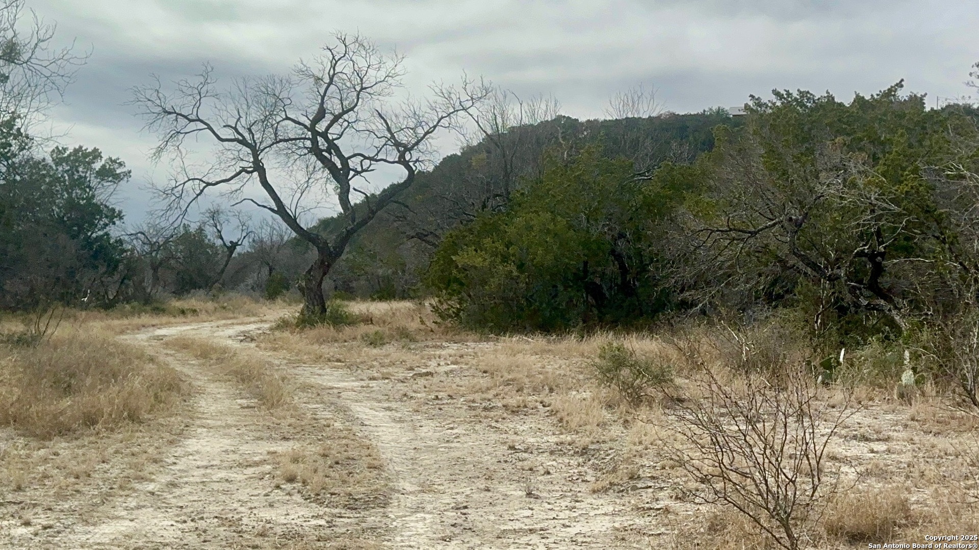 410 Craig Lane Junction, TX 76849 - Photo 35 of 53 a view of a yard with a tree