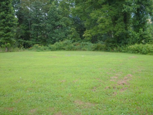 4016 Laurel Hill Road Calvin, KY 40813 - Photo 5 of 7 Additional Photo