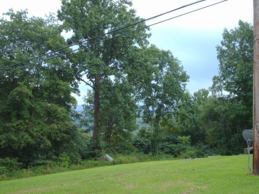4016 Laurel Hill Road Calvin, KY 40813 - Photo 6 of 7 Additional Photo