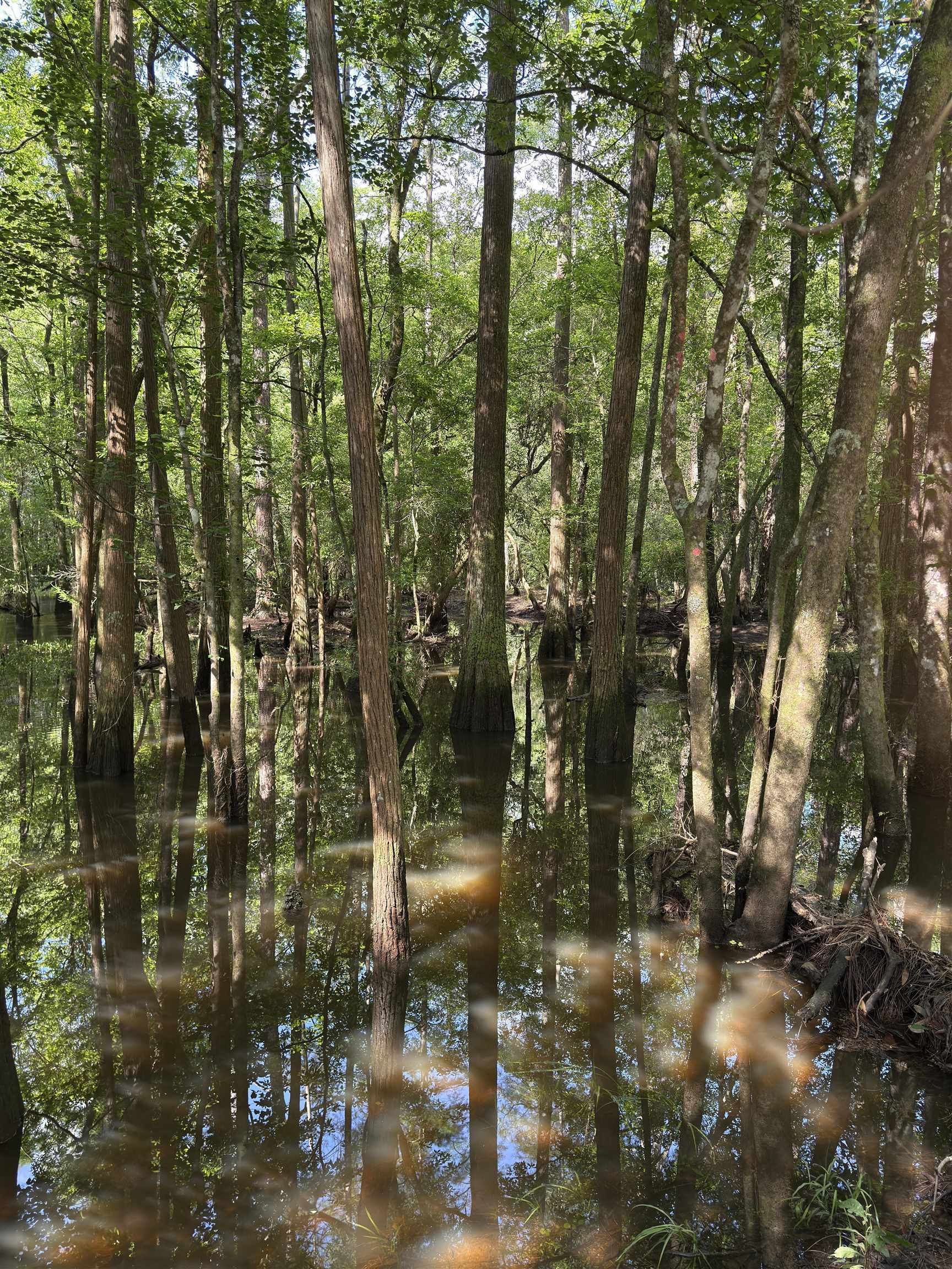 87 County Road 87 Elberta, AL 36530 - Photo 53 of 66