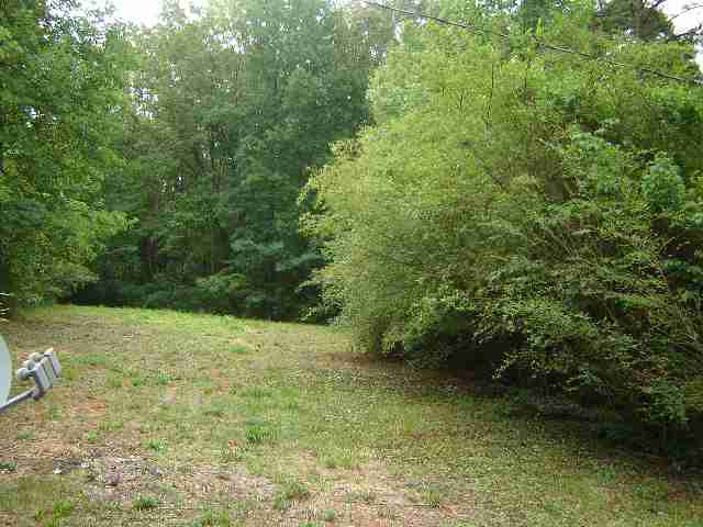 245 Joe Hopkins Road, Unit PLUS LOT 2 ON DOE RUN West Union, SC 29696 - Photo 9 of 9 Gallery Image 9