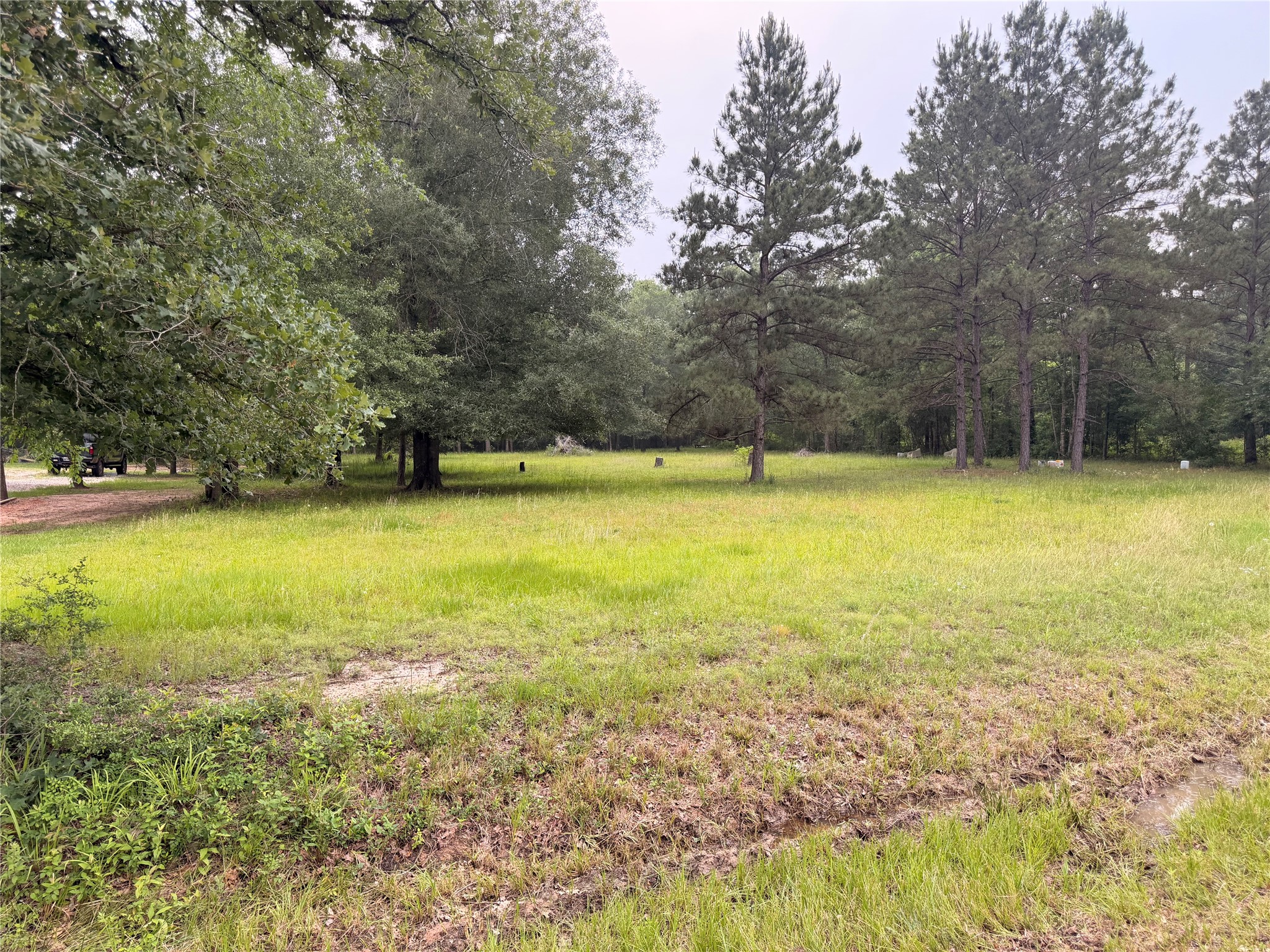 0 Forest Trail Conroe, TX 77306 - Photo 2 of 7 a view of an ocean view