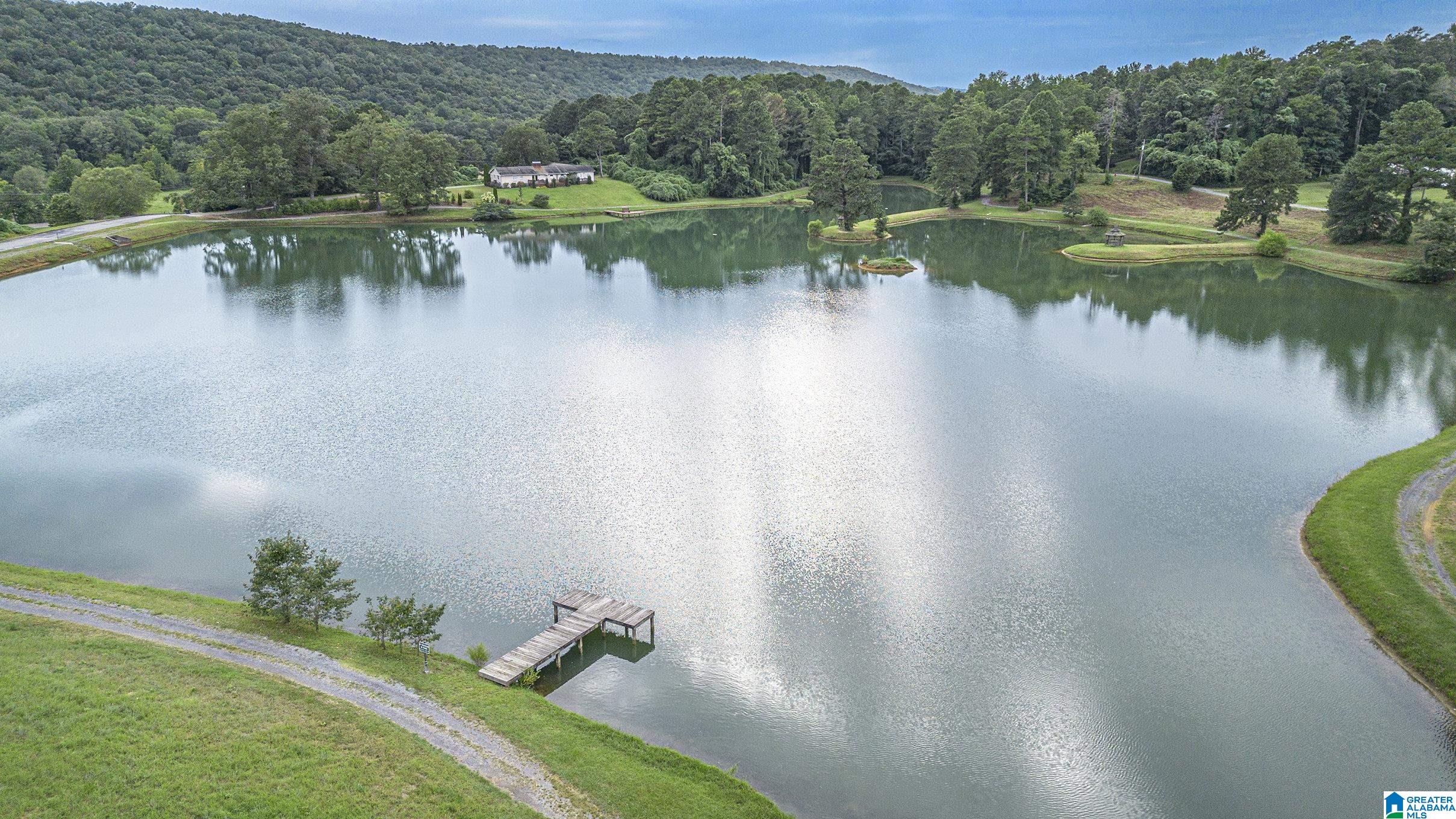 320 Gray Fox Road Springville, AL 35146 - Photo 30 of 30