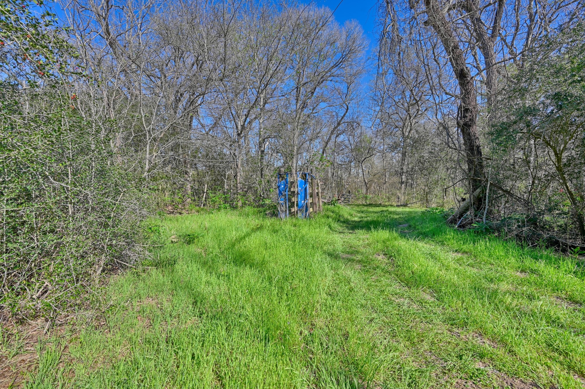 0 Zettel Road New Ulm, TX 78950 - Photo 2 of 11