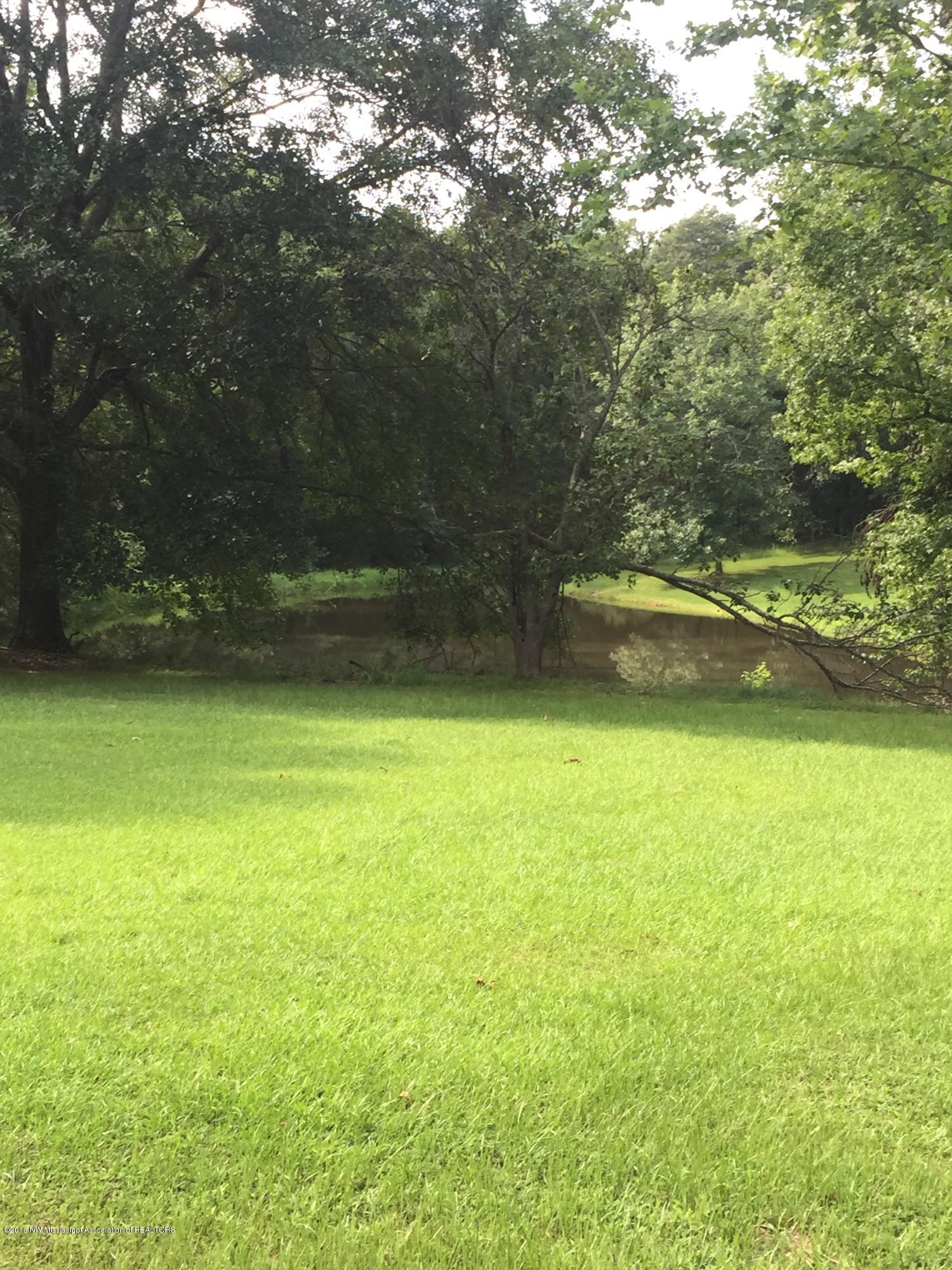 359 Oakdale Road Coldwater, MS 38618 - Photo 8 of 26 2016-07-28 16.27.50
