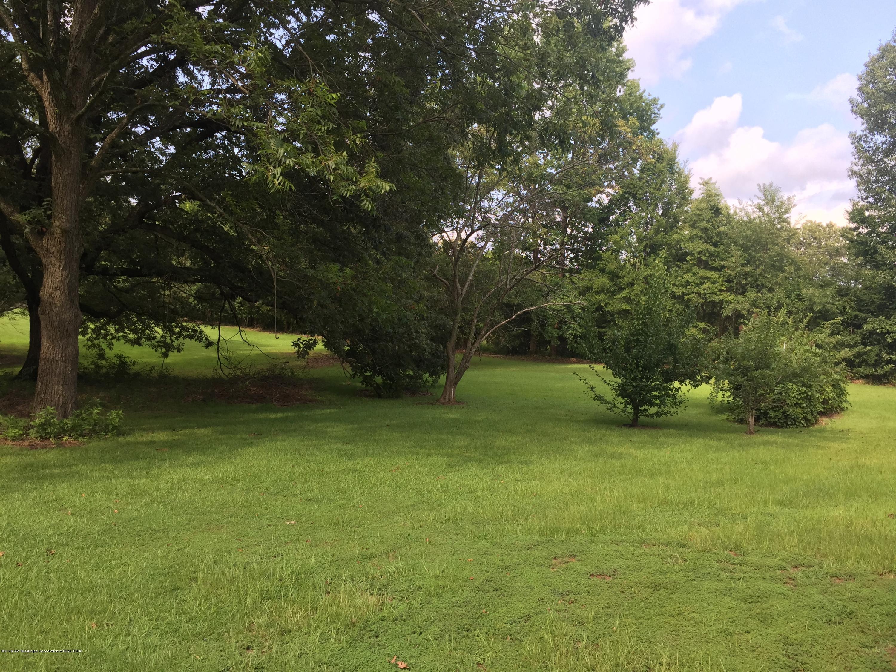 359 Oakdale Road Coldwater, MS 38618 - Photo 9 of 26 2016-07-28 16.27.59 HDR